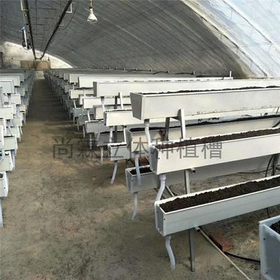 觀光采摘與現(xiàn)代農(nóng)業(yè)種植槽 草莓種植槽、果蔬栽培槽與立體種植槽的批發(fā)優(yōu)勢(shì)