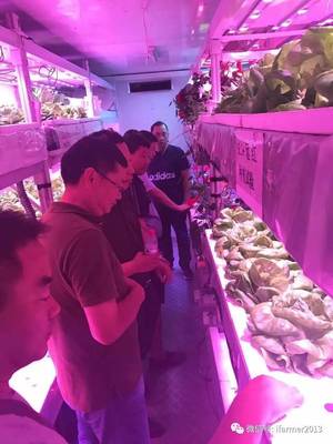 智慧農業新篇章 宿遷市領導參觀旭田植物工廠，共話苗木種植現代化未來